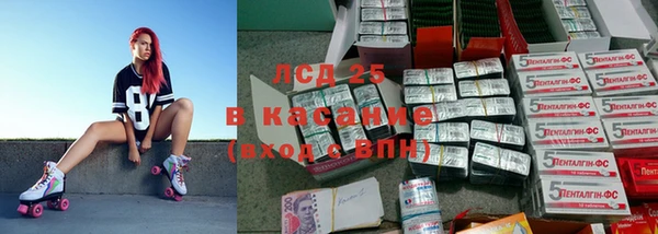 стафф Алзамай